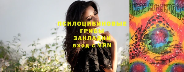 сатива Нефтекумск