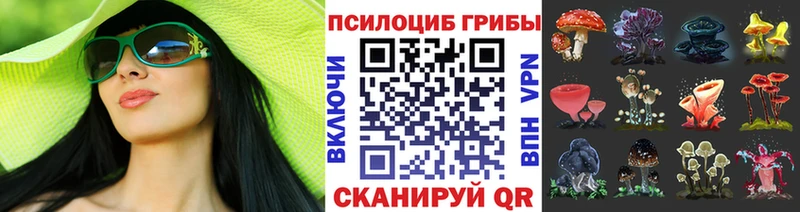 Галлюциногенные грибы Cubensis  ОМГ ОМГ как войти  Стрежевой 